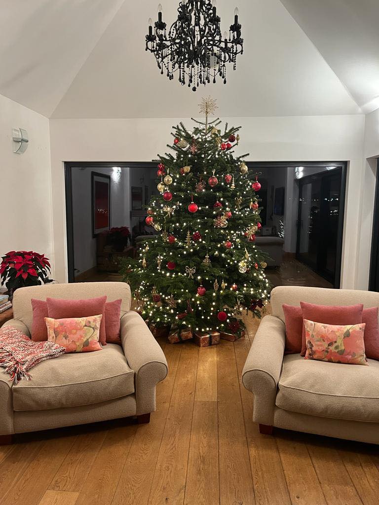 Edenmill Christmas in a home