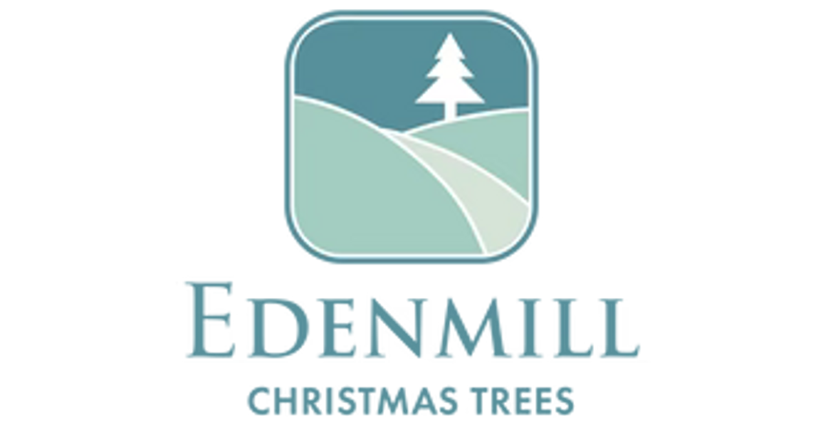 Christmas Tree Farm - Cut your own Christmas Tree🌲 in Glasgow