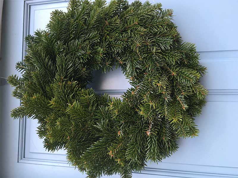 Nordmann Fir Christmas Wreath