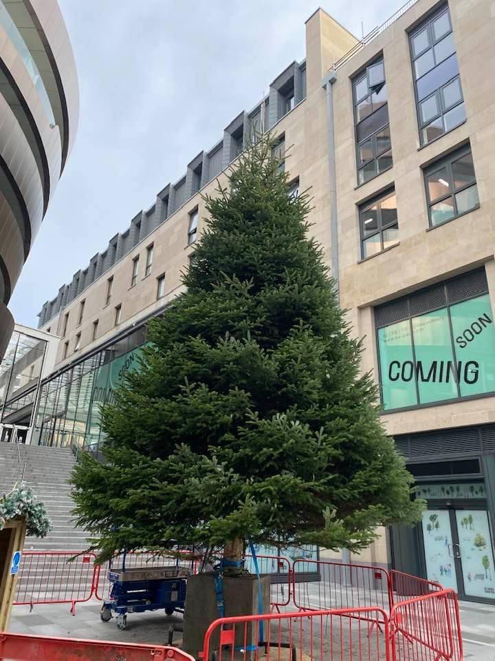 The Edenmill Christmas Tree in St. James Quarter