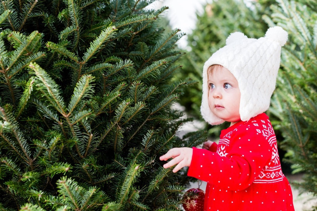 Child infront of a real Christmas Tree