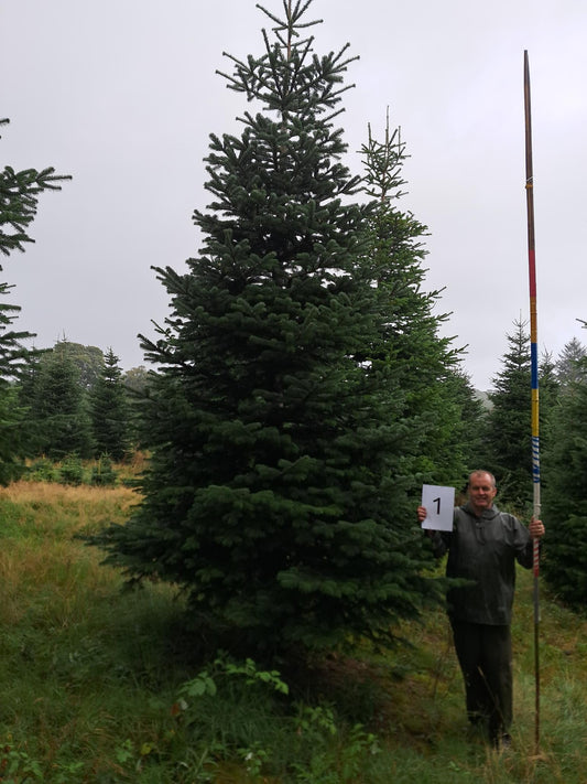 14ft (4.2m) - No. 1