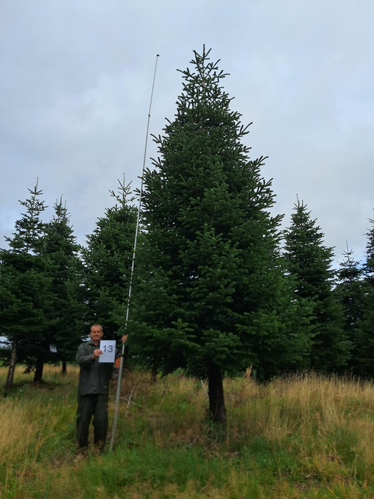 26ft (7.9m) - No. 13
