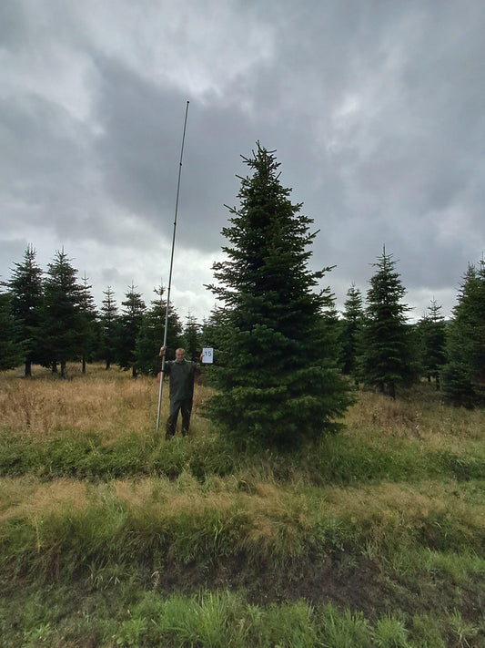 23ft (7m) - No. 15