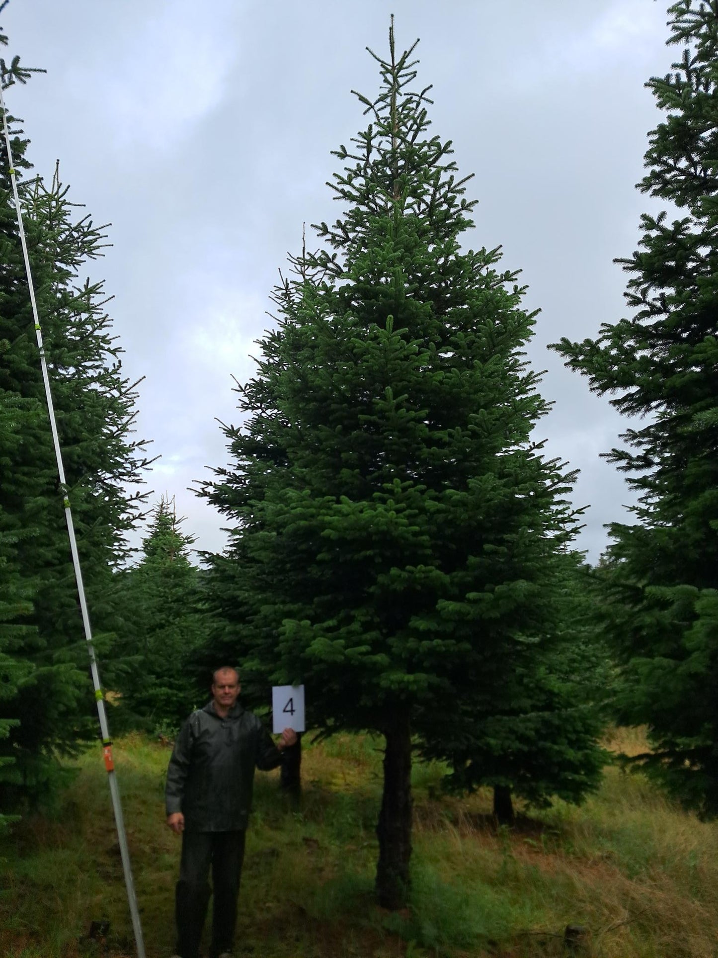 27ft (8.2m) - No. 4