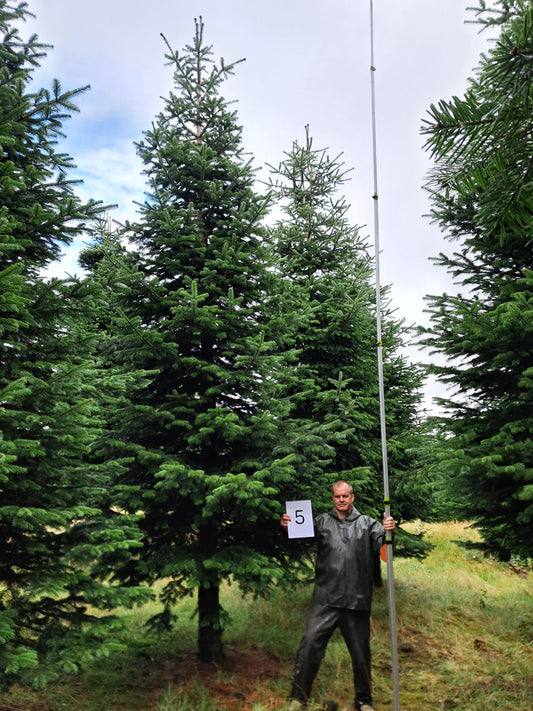 25ft (7.6m) - No. 5