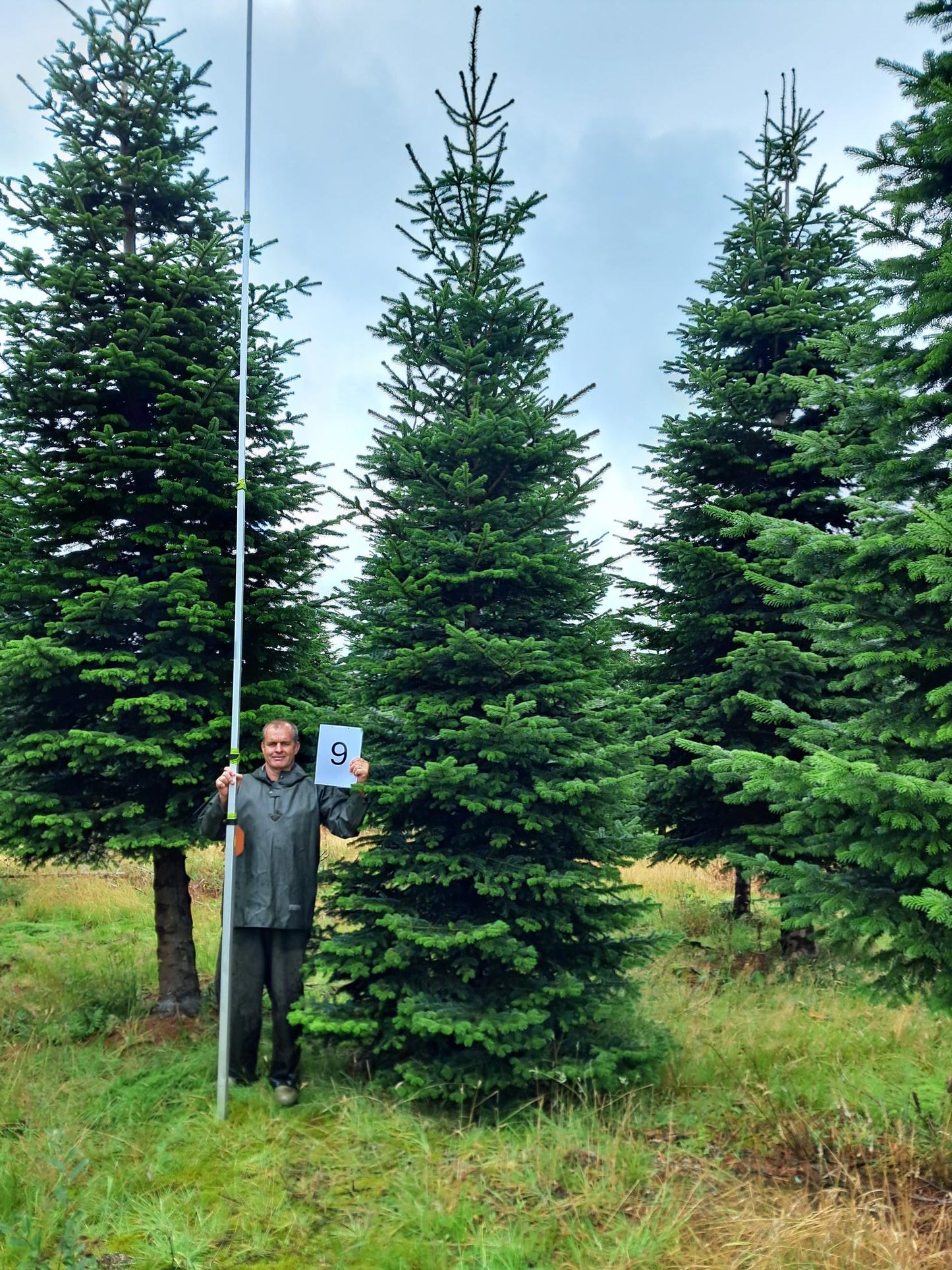 19ft (5.8m) - No. 9