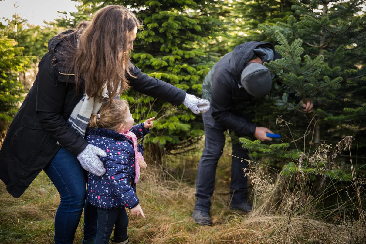 BOOK FREE: CUT YOUR OWN CHRISTMAS TREE