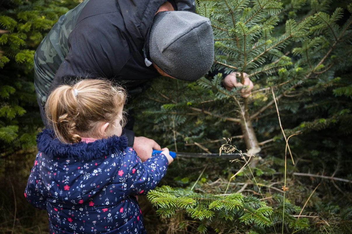 BOOK FREE: CUT YOUR OWN CHRISTMAS TREE