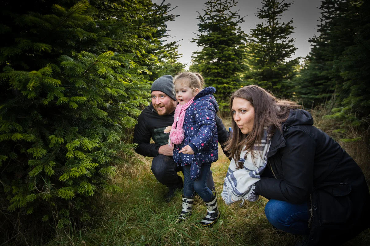 BOOK FREE: CUT YOUR OWN CHRISTMAS TREE