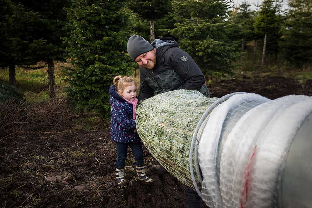 BOOK FREE: CUT YOUR OWN CHRISTMAS TREE