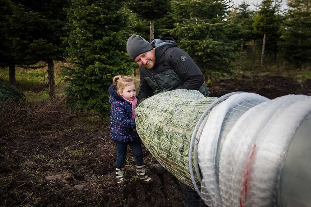 Cut Your Own Christmas Tree