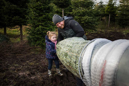 Cut Your Own Christmas Tree